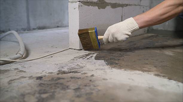 SJ Waterproofing Pros Waterproofing coverage map for Vestaburg, MI and surrounding area